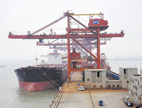 煙臺至廈門內貿海運 價格構成與專業運輸代理服務詳解